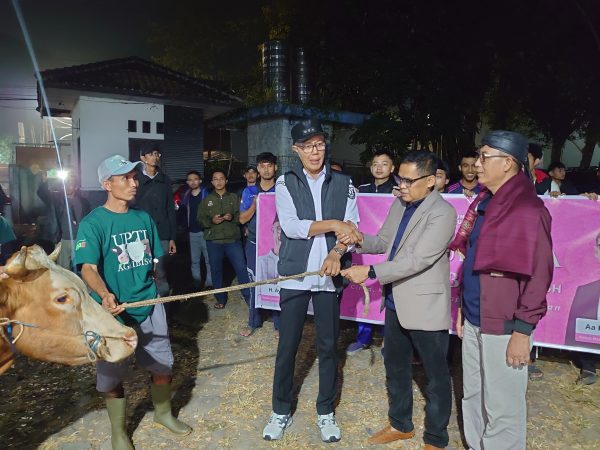 Pemotongan 21 Ekor Sapi Qurban Gebyar Idul Adha Kota Sukabumi 1446 H: “Berbagi Cinta, Menggapai Harapan dengan Qurban”